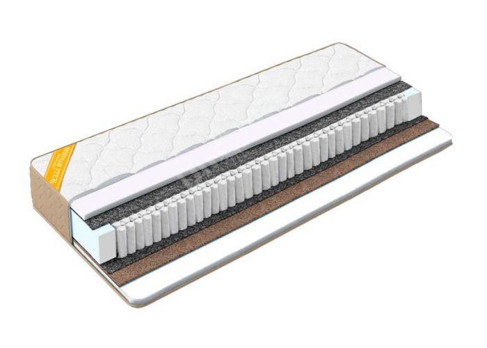 Status ZIMA-LETO S1000 Status ZIMA-LETO S1000