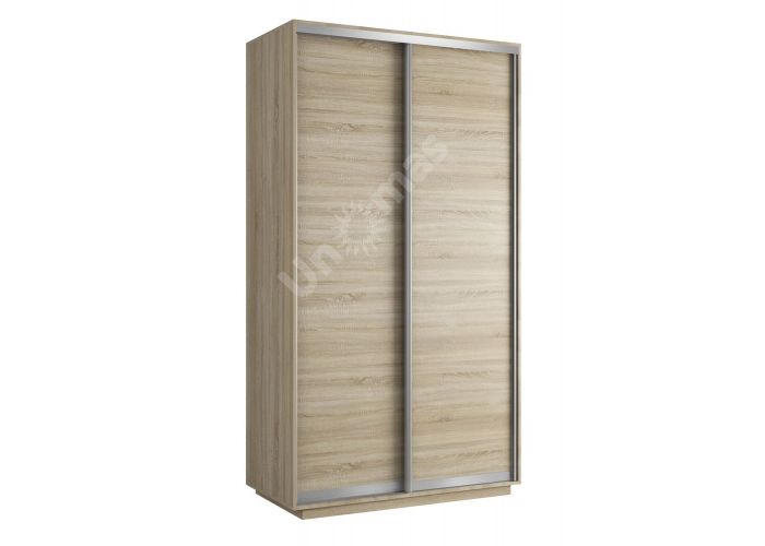 Шкаф-купе Хит Двухдверный 120х220х60 см Шкаф-купе Хит Двухдверный 120х220х60 см