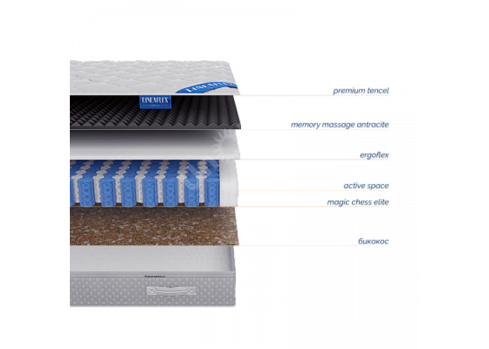 Juventus Active (Актив Ювентус)